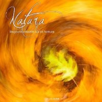 Natura : Regards créatifs sur la Nature