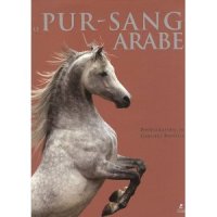 Le pur-sang arabe