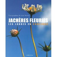 Jachères fleuries : Les Landes en couleurs