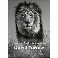 David Yarrow, une vision de la photographie