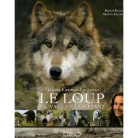 Le Loup sauvage et fascinant