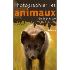 Photographier les animaux