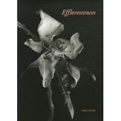 Efflorescences 
