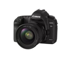 Canon EOS-5D MarkII 