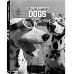 Elliott Erwitt's Dogs