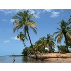 Casamance - I