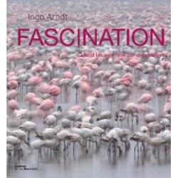 Fascination. Quand les animaux se rassemblent 