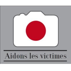 Le marché photographique français solidaires des sinistrés du Japon