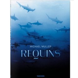 Michael Muller. Requins.