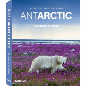 Antarctic : Life in the Polar Regions