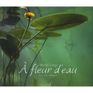 A fleur d'eau