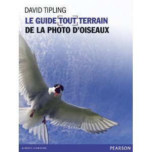 La photo d'oiseaux