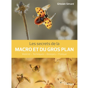 Les secrets de la macro et du gros plan