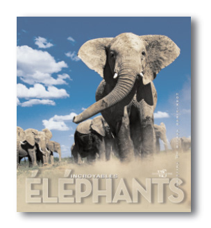 Incroyables Elephants