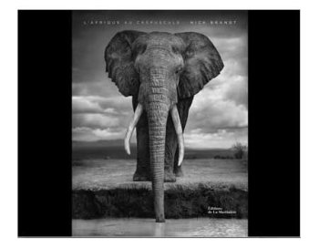 L'Afrique au crépuscule 