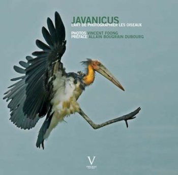 Javanicus
