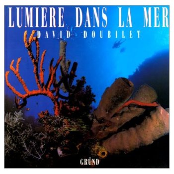 Lumière dans la mer 