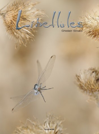 Libellules