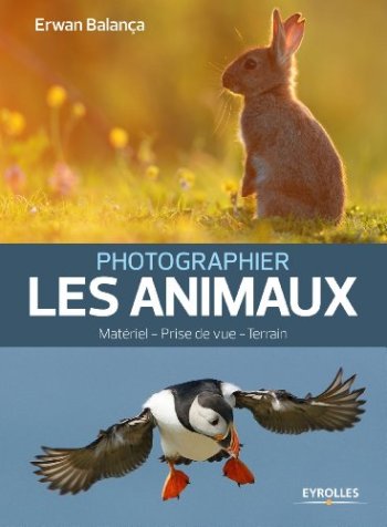 Photographier les animaux matériel prise de vue terrain